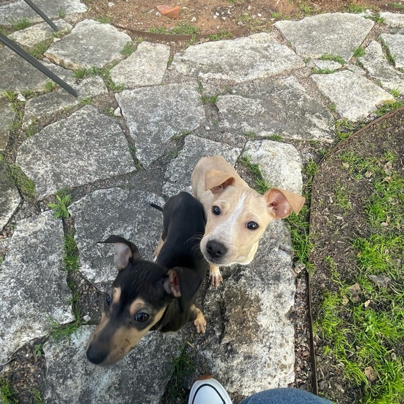 Meet your posher, Ktcheeky! - Picture 8 of 17